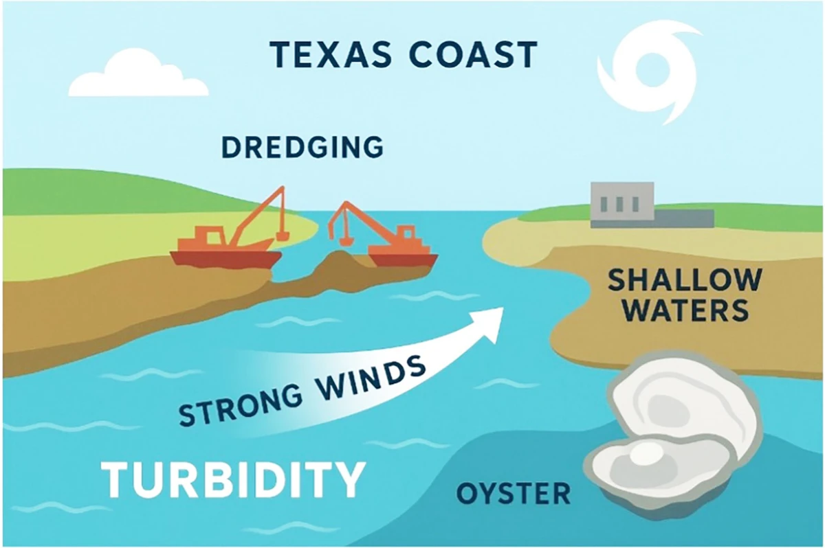 Coastal-water-quality illustration published with Port Aransas South Jetty coverage